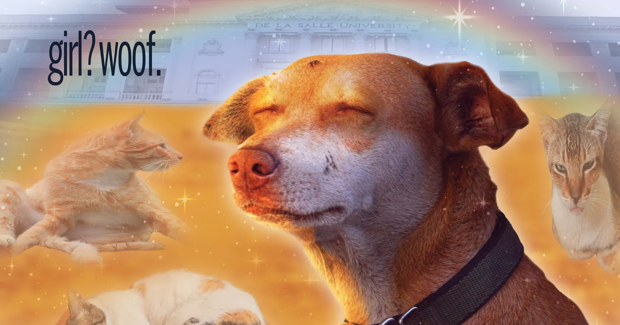 In a cat-centric DLSU, Brando proves he’s got that dawg in him